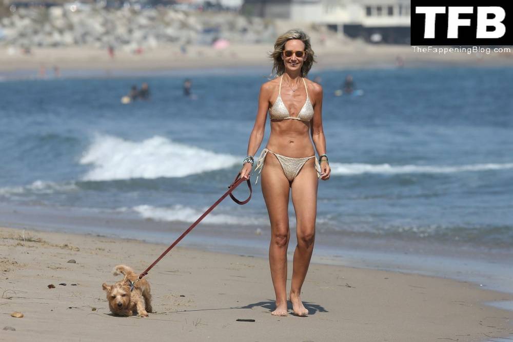 Lady Victoria Hervey Takes Her Norfolk Terrier D 19Artagnan For Beach Stroll in Malibu - #17