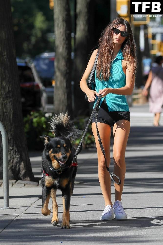 Leggy Emily Ratajkowski Takes Her Dog For a Stroll in New York City - #40