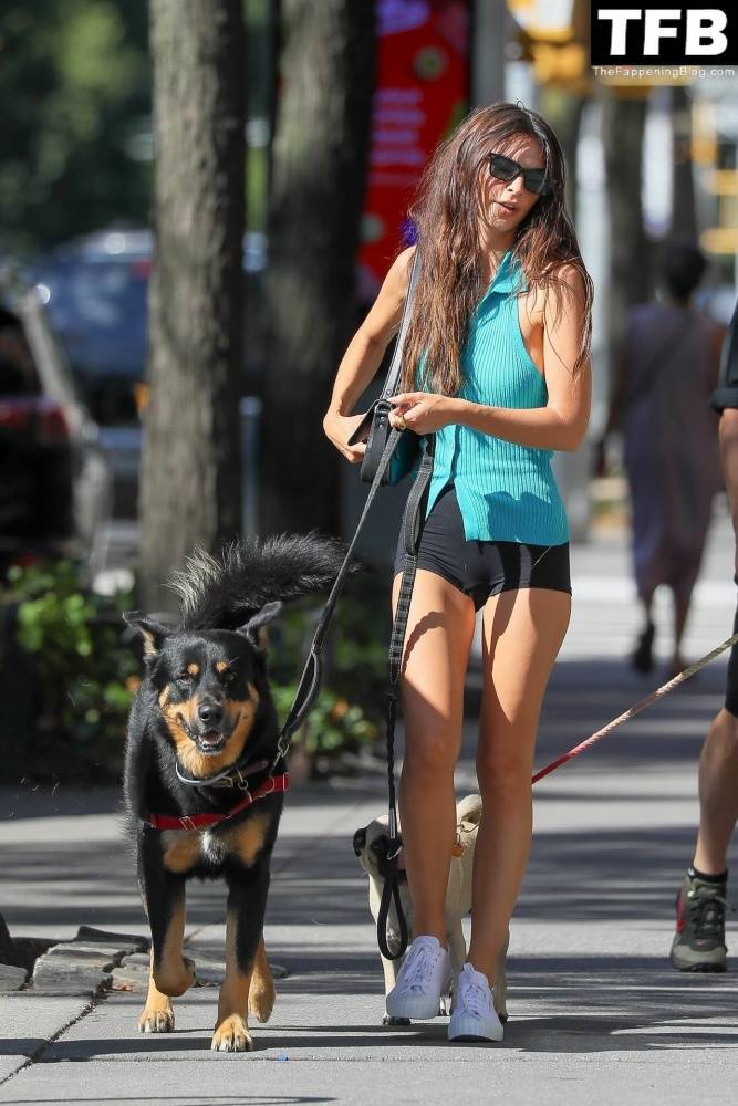 Leggy Emily Ratajkowski Takes Her Dog For a Stroll in New York City - #20
