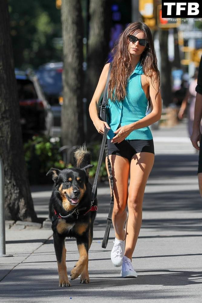 Leggy Emily Ratajkowski Takes Her Dog For a Stroll in New York City - #39