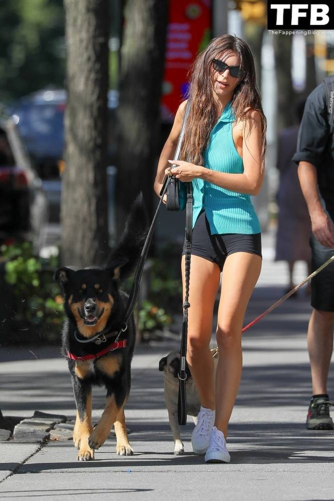 Leggy Emily Ratajkowski Takes Her Dog For a Stroll in New York City - #36