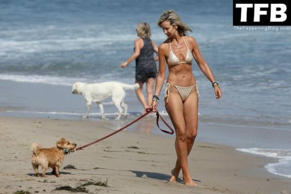 Lady Victoria Hervey Takes Her Norfolk Terrier D 19Artagnan For Beach Stroll in Malibu on modelclub.info